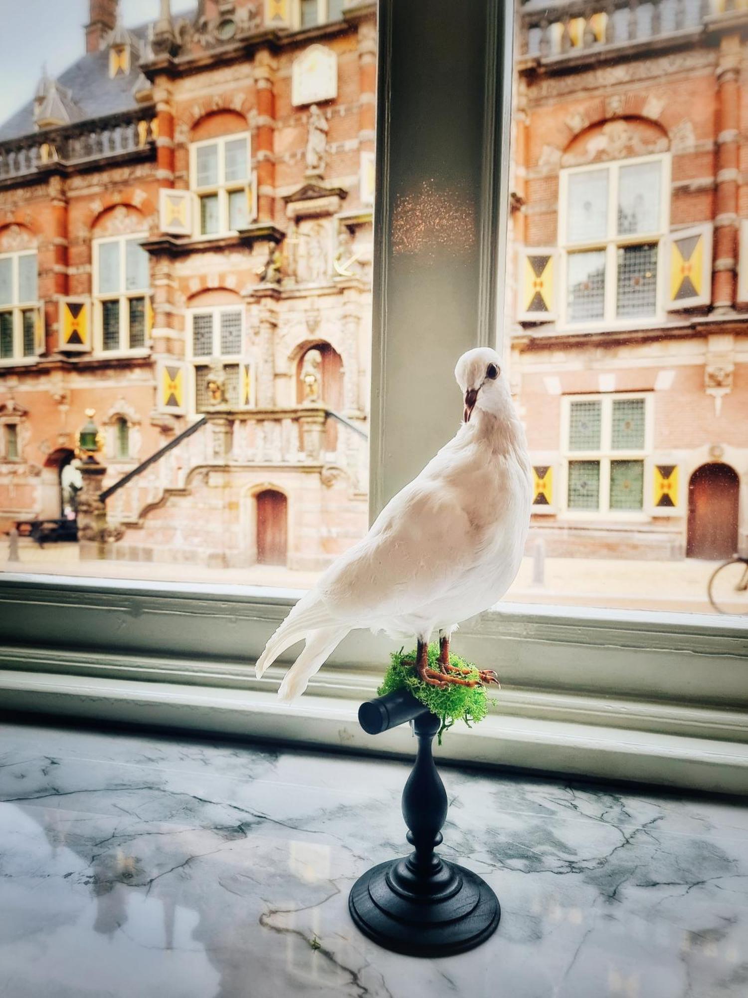Elf Bed And Breakfast Bolsward Buitenkant foto